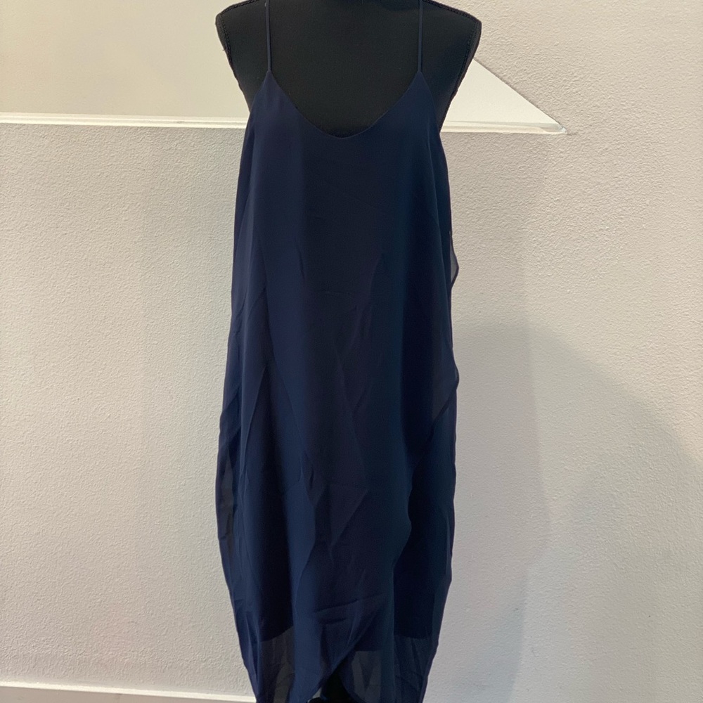H&M Sheer Tulip Dress